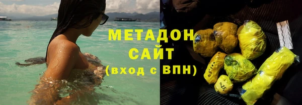ПСИЛОЦИБИНОВЫЕ ГРИБЫ Арсеньев